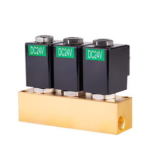 ผู้ผลิตวาล์วโซลินอยด์สำหรับเครื่องชงกาแฟแบบ DC 24v 12v รองรับ OEM ODM ผลิตจากทองเหลือง - Product Image 3