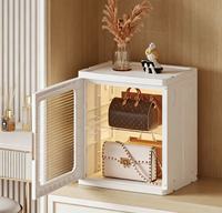 Meuble de rangement pliable en plastique tendance avec porte magnétique transparente, organisateur de tiroirs anti-poussière pour chambre à coucher, conteneur pour articles divers