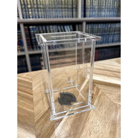Boîte à Tzedakah élégante en Lucite, boîte de dons en acrylique, collection Judaica, conteneur à monnaie en plastique multicolore pour la communauté