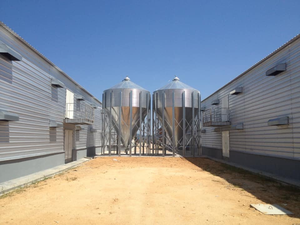 Silo Diario Automático, sistema <span class=keywords><strong>de</strong></span> cría <span class=keywords><strong>de</strong></span> jaulas <span class=keywords><strong>de</strong></span> pollos <span class=keywords><strong>de</strong></span> engorde, Silo <span class=keywords><strong>de</strong></span> alimentación principal, sistema <span class=keywords><strong>de</strong></span> pesaje <span class=keywords><strong>de</strong></span> línea <span class=keywords><strong>de</strong></span> stock - Product Image 2