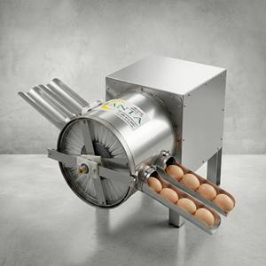 สายล้างไข่สแตนเลส 304 2 ช่อง 4000 ฟองต่อชั่วโมง พร้อมเทคโนโลยีรีไซเคิลน้ำ ล้างทำความสะอาดไข่อัตโนมัติ - Product Image 3