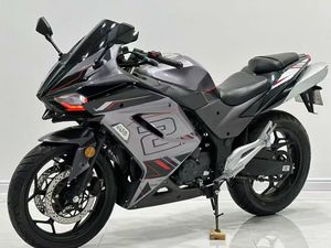 Prix direct usine Moto Kawasaki H2 bicylindre refroidie par eau 250cc Moteur sans balais Vitesse maximale 200 km/h Course sur route - Product Image 2