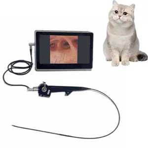 Veterinary Portable Video Bronchoscope Equipment Medical Flexible Endosco for Pet Animals