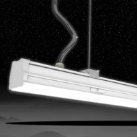 Système d'éclairage linéaire Lumin Trunking à faible coût d'installation, rail d'éclairage 3 circuits 160 lm/W avec capteur de batterie d'urgence pour entrepôt