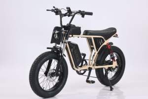 Entrepôt de Californie Vélo électrique à pneus gras de 20 pouces 750W Vélo électrique à suspension double Batterie amovible Moto avec sac pour téléphone - Product Image 4