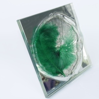 Panel Decorativo de Pared con Plumas de Resina y Diseño de Pluma Verde para Sala de Estar, Dormitorio y Decoración de Interiores del Hogar