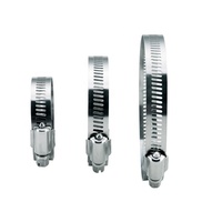 Collier de serrage à ressort réglable en acier inoxydable 304 pour tuyau et câble