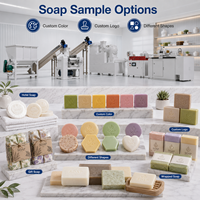 Ligne de production de savon à petite échelle haute vitesse 1000 kg/h pour le traitement du savon de lessive avec support de logo personnalisable