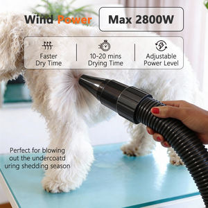 Sèche-cheveux professionnel pour animaux de compagnie, sécheuse pour <span class=keywords><strong>toilettage</strong></span> des chiens, Asciugatrice Per Animali Domestici, sécheuse haute puissance pour salon d'animaux - Product Image 2