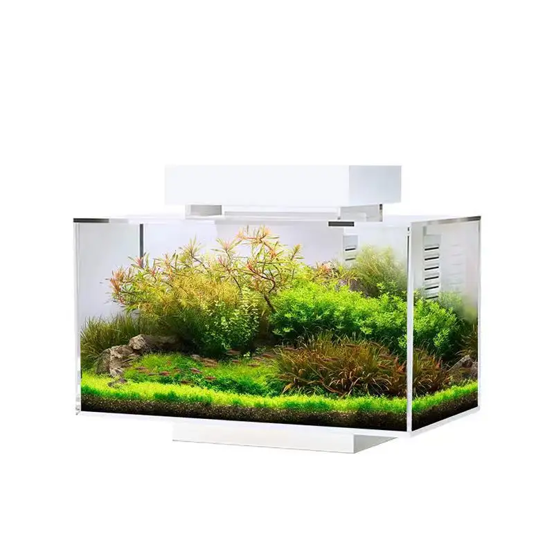 Mini Complete Tank Shrimp / Aquascape / Nano Desktop Fish Aquarium/Acrylic Fish Tank