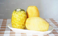 FXP-66 een gloednieuwe automatische machine voor het pellen van oude kokosnoten, ananas en Hami-meloenen