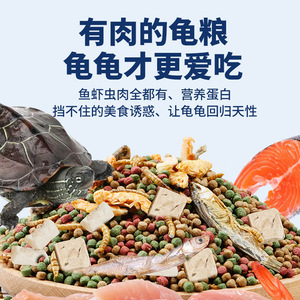 Nai Chong 8 en 1 Nourriture pour Tortues 2,5 kg Granulés Flottants Riches en Calcium pour Tortues Bébés et Semi-Aquatiques - Product Image 2