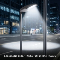 Brücken-LED-Straßenleuchte 50W 100W Vibrationsbeständiges Aluminium IP66 Hohe Windlast Typ III Verteilung CE Großhandel