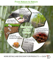 Conteneur alimentaire en canne à sucre biodégradable respectueux de l'environnement, vaisselle jetable