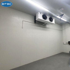 Tiết kiệm năng lượng đi bộ trong buồng lạnh phòng lạnh Tủ đông phòng lạnh lưu trữ - Product Image 6