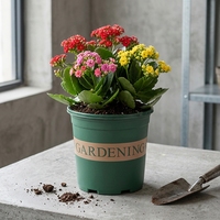 Pots de fleurs de jardin en PP colorés de luxe en gros, avec trous de drainage, légers, durables, suspendus ou à poser au sol, pour l'intérieur et l'extérieur