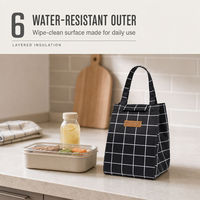 Sac à lunch isotherme en aluminium et polyester avec poignée