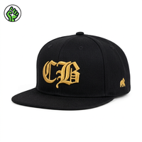 Casquettes Snapback personnalisées à 5 panneaux, broderie 3D, logo imprimé animal, visière courte, 100% coton, sport, mode, streetwear, voyage