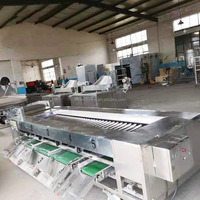 Calibrateur Machine à trier les fruits et légumes Tomate Ail Piment Oignon Carotte Concombre Champignon Trieuse