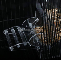 Station d'alimentation en acrylique pour Macaw African Greys Budgies Cockatiels Conure Inséparable