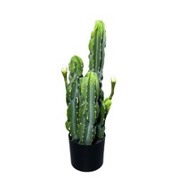 Usine gros gros syllabus de cactus artificiel bonsaï plantes vertes du désert tropical