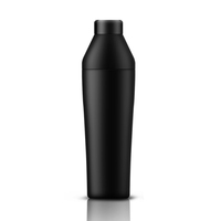 Accessoires à cocktails en acier inoxydable, shaker miniature de voyage, shaker isolé - Compact pour la salle de sport, le bureau, l'extérieur
