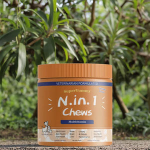 Produttore miscela personalizzata gustosi bastoncini di vitamina cane vitamine del cane - Product Image 1