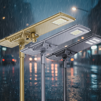 Lampadaire Solaire Intégré Tout-en-un avec Capteur PIR et Radar, Étanchéité IP65, Multi-usages pour Routes, Fermes, Parcs, Villages et Parking