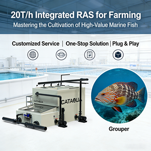Sistema <span class=keywords><strong>de</strong></span> <span class=keywords><strong>Tratamiento</strong></span> <span class=keywords><strong>de</strong></span> Agua <span class=keywords><strong>de</strong></span> Circuito Cerrado Integrado (RAS) <span class=keywords><strong>de</strong></span> 15-20T/h, Estable para Producción Acuícola a Gran Escala - Product Image 1