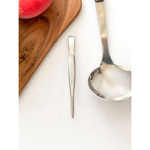 Pinzette diritte in acciaio inossidabile giappone-Made con manico in plastica - Product Image 1