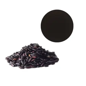 안토시아닌 검은 쌀 추출물 분말 식물 추출물 과일 용매 추출 무료 식품 2 년 적절한 저장 1 Kg 25kg/드럼 UV