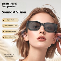 Lunettes de soleil polarisées intelligentes avec appels audio et traduction