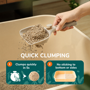 Arena para Gatos de Tofu Eficiente y Biodegradable con Absorción Rápida de Humedad para Aplicaciones en Baños para Gatos - Product Image 3