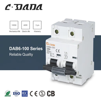 Disjoncteur miniature DAB6-125 2P (IEC/EN 60898-1) à prix d'usine – Protection contre les surcharges et les courts-circuits CDADA
