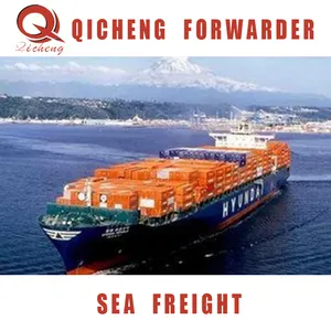 Sea DDP Shenzhen China to Newzealand, Manchester UK USA France Australia Ksa logistics agent cheapest freight forwarder.