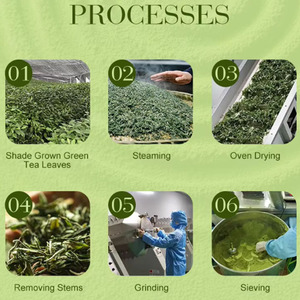 Poudre de Thé <span class=keywords><strong>Vert</strong></span> Havenova Biotech OEM/ODM, Matcha Biologique en Gros Issu de Matcha Cérémonial - Product Image 6