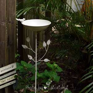 Mangeoire à oiseaux <span class=keywords><strong>de</strong></span> <span class=keywords><strong>jardin</strong></span> créative en <span class=keywords><strong>fer</strong></span> <span class=keywords><strong>forgé</strong></span> meubles d'extérieur baignoire à oiseaux avec support <span class=keywords><strong>de</strong></span> placage pour ornements <span class=keywords><strong>de</strong></span> balcon au sol - Product Image 4