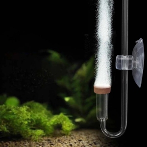 Acrylic Aquarium CO2 Khuếch Tán Hút Cup Cố Định Atomizer Bubble Counter Aquarium Fish Tank CO2 Cây Nước Cỏ Điều Chỉnh - Product Image 6