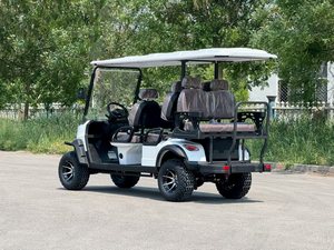 MAYTOP Gas Powered 6 Passenger <strong>Golf</strong> Cart With <strong>Petrol</strong> Engine <strong>for</strong> <strong>Sale</strong>/6 Seater Club Car Classic <strong>Golf</strong> Cart Sightseeing <strong>Buggy</strong> - Product Image 4