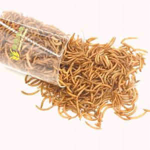 תולעי קמח מיובשות בסיטונאות, מזון חתולים עשיר בחלבון, מזון דגים, חוות גידול, תולעי לחם מיובשות טבעיות - Product Image 3