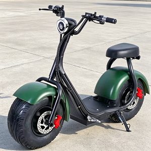 สกู๊ตเตอร์ไฟฟ้า EU CE 1000W 48V ยางใหญ่ รุ่นใหม่ปี 2025 ความเร็ว 60 กม./ชม. ระยะทาง 55 กม. สำหรับผู้ใหญ่ - Product Image 1