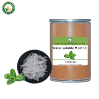Menthol 100% Pur Biologique Hydrosoluble Distillé à la Vapeur 99% Vente en Gros pour Cosmétiques, Aliments et Boissons