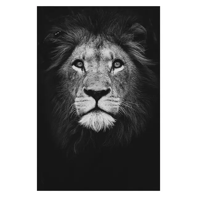 La faune Animal Lion Éléphant Cerf Zèbre Affiches et Toile Imprime Art Mural Images D'huile Peinture pour le Bureau D'hôtel À La Maison Décor