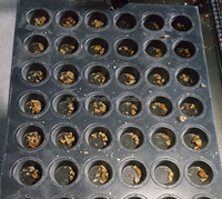 Épandeur automatique de graines de sésame, machine à saupoudrer, pulvérisateur de sucre pour pain/biscuits