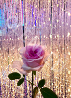 Lumière matricielle LED 3D RGB avec contrôle DMX, affichage volumétrique, effets de flash tridimensionnels pour scène d'exposition