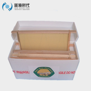 Equipo de Apicultura, Caja de Núcleo para Colmena de Abejas, Colmena de Plástico Corflute - Product Image 6
