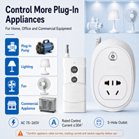 Prise de télécommande RF longue portée AC 220V à code d'apprentissage sans fil pour les distributeurs d'accessoires électriques