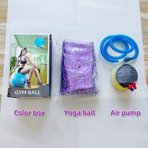 Antiexplosion Yoga Ball Gym Ball 65 Cm Custom Yoga Ball Fitness Sport Accessories Pilates Essentials Kit Integrated Gym <strong>Trainer</strong> - Product Image 5