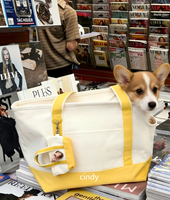 Sac fourre-tout en toile imprimé couleur personnalisée pour animaux de compagnie, sac de transport simple et durable pour petits chiens, idéal pour les promenades quotidiennes et les voyages en extérieur