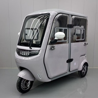 Tricycle Électrique Fermé 1200W 60V/72V, Mini-Voiture Électrique Fermée, Scooter Électrique en Gros